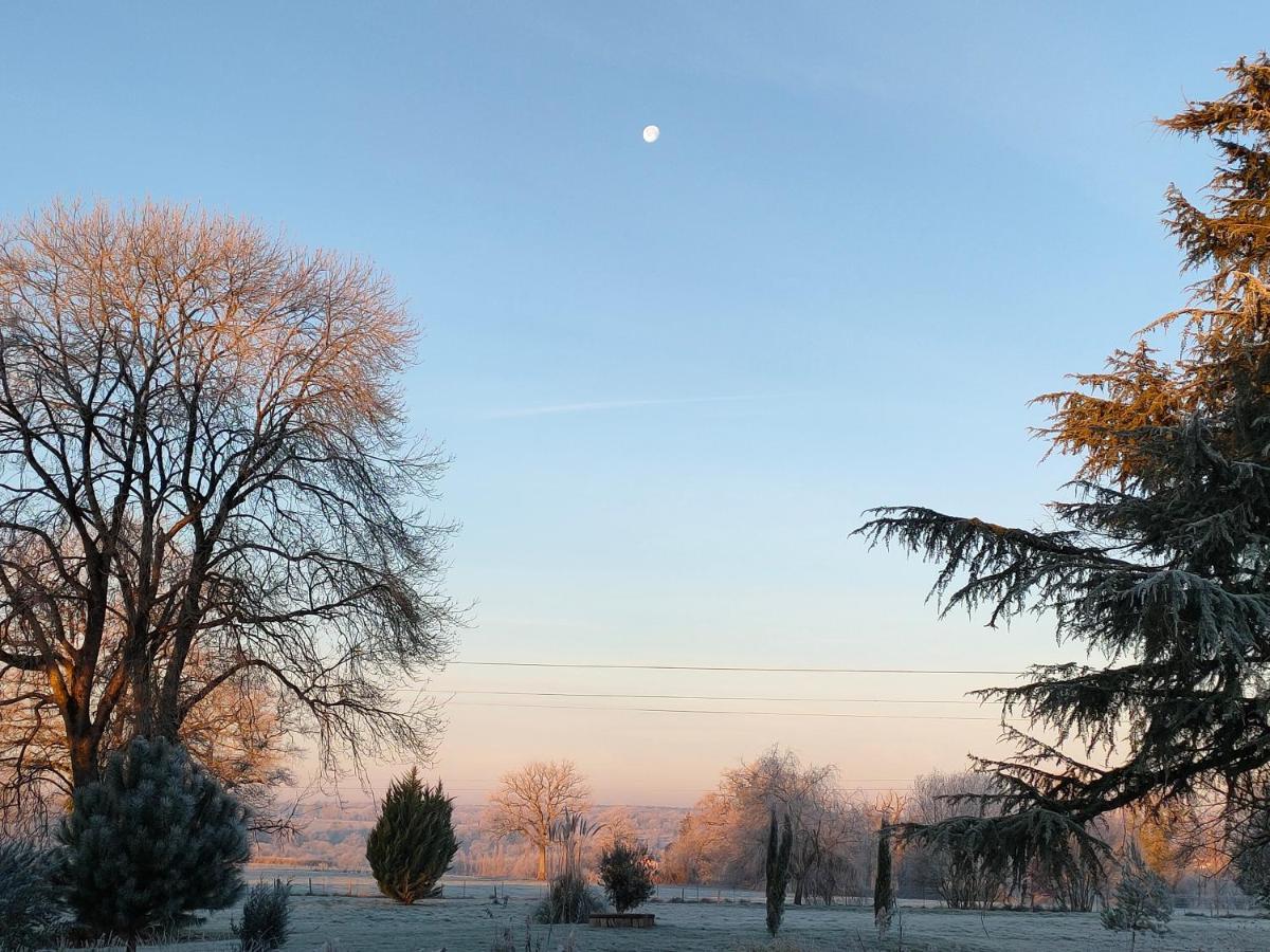 Domaine De Panissac Panzió Berneuil  Kültér fotó